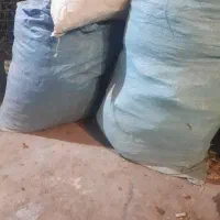 ۱۰کیسه کودکبوتر