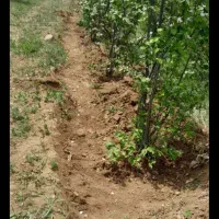 فروش باغ دراهر به متراژ  ۳۹۵۰