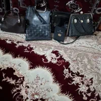 چندعددکیفدرحدنو