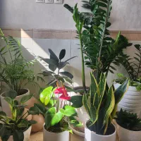 منشی خانم مسلط به تایپ فارسی و انگلیسی حرفه ای