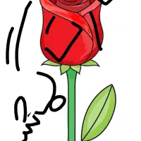 کارت بانکی گمشده