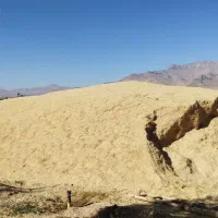 فروش کاه دیم درجه یک تحویلی|عمدهفروشی|خاوه, |دیوار