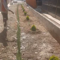 باغبانی در پردیس کرشت رودهن مهراباد