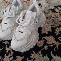 کفش|کیف، کفش، کمربند|بجنورد, |دیوار