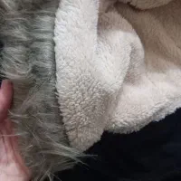 کاپشن و پالتو|لباس|زنجان, |دیوار