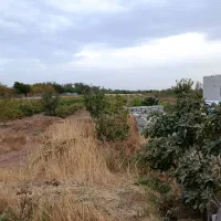 باغ انگور اقبالیه با آب
