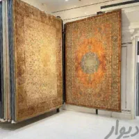 فرش نمونه سال/مخملی/تراکم بالا|فرش|بندر ماهشهر, |دیوار