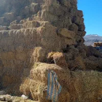 علوفه|لوازم جانبی حیوانات|نیر (اردبیل), |دیوار