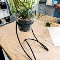 استند گل فلزی