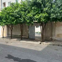 سوئیت-ویلایی-دربست-تمیز-و-دلباز-در-مرکز-شهر