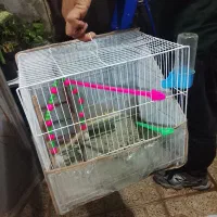 قفس پرنده با لوازم