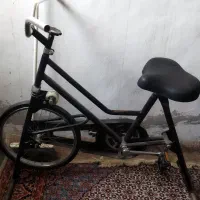 دوچرخه ثابت