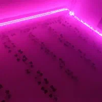 led نواری استریپ لایت