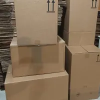کارتن