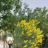 زمین مسکن ملی فروشی