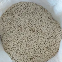 لوبیا بوجاری