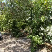 باغچه ۴۲۰متری،سهمیه آب،درختی،سرسبز