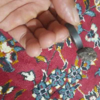 سه عدد شهاب سنگ(مشکوک)