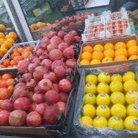 کارگر ساده میوه فروشی