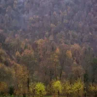 همفکری و مشاوره