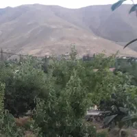 زمین ۷۰ قصب روستای مسکون آب دنبال
