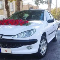206SD V8|خودرو سواری و وانت|همدان, |دیوار