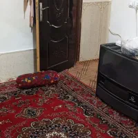 اجاره خانه ویلایی ۶۵ متری ۱ خوابه در رسالت|اجارهٔ خانه و ویلا|مشهد, رسالت|دیوار