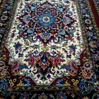 سلام جفت سالاری دارم به فروش میرست نو