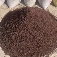 اسب معاوضه باکشمش