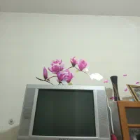 تلویزیون توشیبا ژاپن|تلویزیون و پروژکتور|شهریار, یوسف آباد صیرفی|دیوار