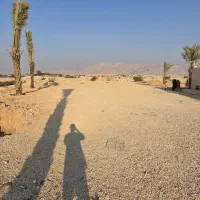 یک هکتار زمین سند تک برگ