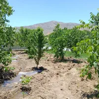 زمین اسدآباد