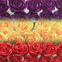 سفارش گل ربانی