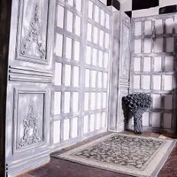 دکور آتلیه با قفسه و فلاش عکاسی و بریل برقی