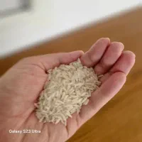 برنج علی کاظمی اعلا بدون واسطه|خوردنی و آشامیدنی|قزوین, |دیوار