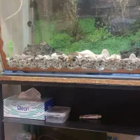 آکواریوم با زیری آهنی فرفوژه با امکانات کامل|ماهی|شهرکرد, |دیوار