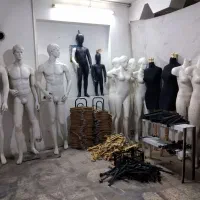 مانکن بست قوطی چوبکار دوگیره رگال