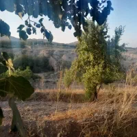 باغ ۱۱۰۰ متری با ویو رودخونه فنس کشی شده|فروش زمین و ملک کلنگی|خلجستان, |دیوار