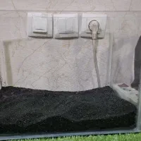 اکولریوم و لوازم جانبی|ماهی|دوگنبدان, |دیوار