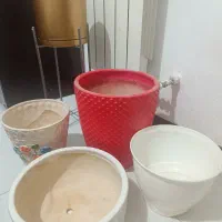 گلدان|گل و گیاه طبیعی|قرچک, میرزائی جنوبی|دیوار