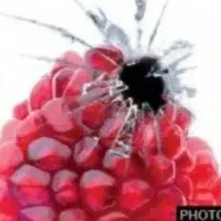 گوشی آسیب دیده