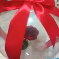 وسایل آشپزخونه|ظروف سرو و پذیرایی|رشت, ترمینال|دیوار