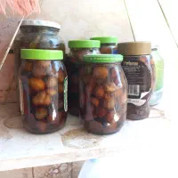 انواع لواشک خونگی|خوردنی و آشامیدنی|شیراز, میانرود|دیوار