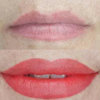 خدمات تتو لب|خدمات آرایشگری و زیبایی|شیراز, تندگویان|دیوار