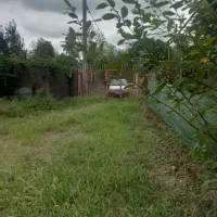 فروش  یا رهن ویلایی دوهزار متری سند دار|فروش خانه و ویلا|رشت, لاکان شهر|دیوار