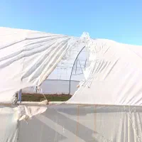 فروش گلخانه 500 متری گالوانیزه|مصالح و تجهیزات ساختمان|نصر آباد, |دیوار