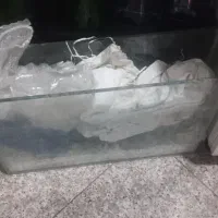 اکفاریوم|ماهی|مشهد, ویلاشهر|دیوار