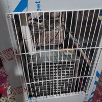 آبسردکن۴شیره استیل جدید