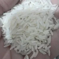 برنج های درجه۱ شمال  هاشمی و طارم فجروکشت دوم