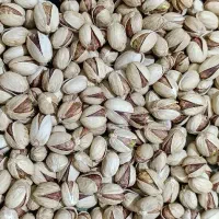 پسته رفسنجان تازه